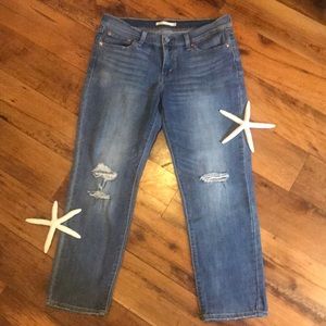 Distressed Boyfriend Levi’s Capris